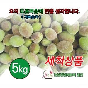 토종복숭아(개복숭아) 열매 5KG